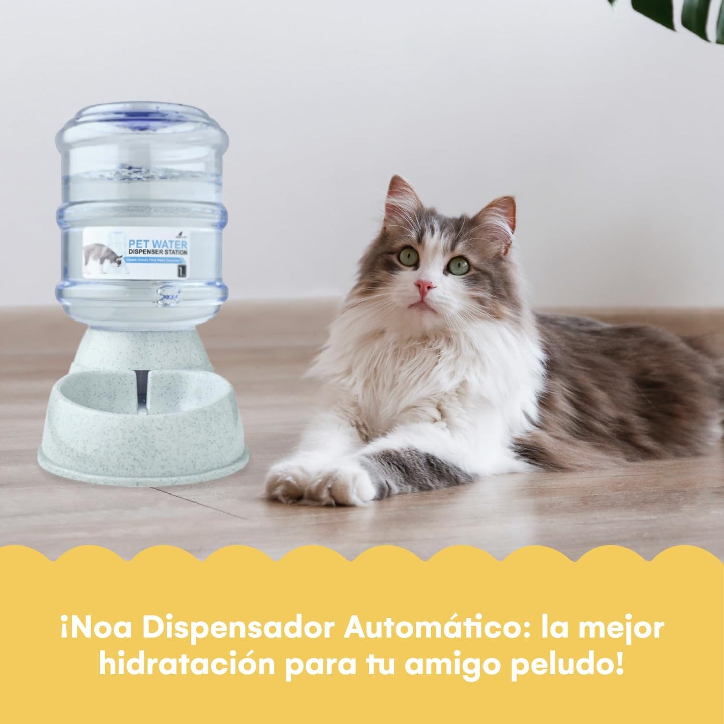 Automatic Gravity Pet Food Dispenser (1 Gallon / 3.8L) for Cats & Dogs