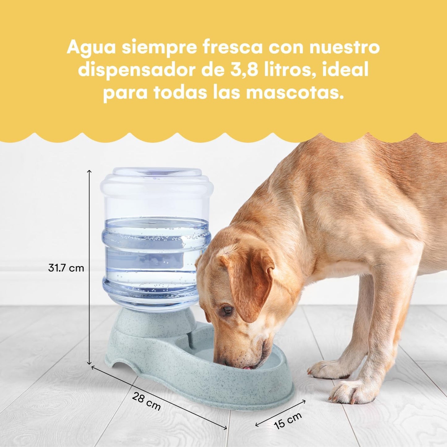 Automatic Gravity Pet Food Dispenser (1 Gallon / 3.8L) for Cats & Dogs